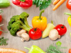 Tipos De Vegetales Vegetales