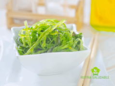 Por qué las algas marinas son súper saludables y nutritivas algas marinas