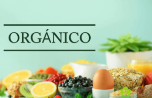 ¿Qué es la comida orgánica? comida orgánica