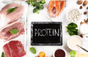 ¿Deberías comer menos proteínas? proteínas